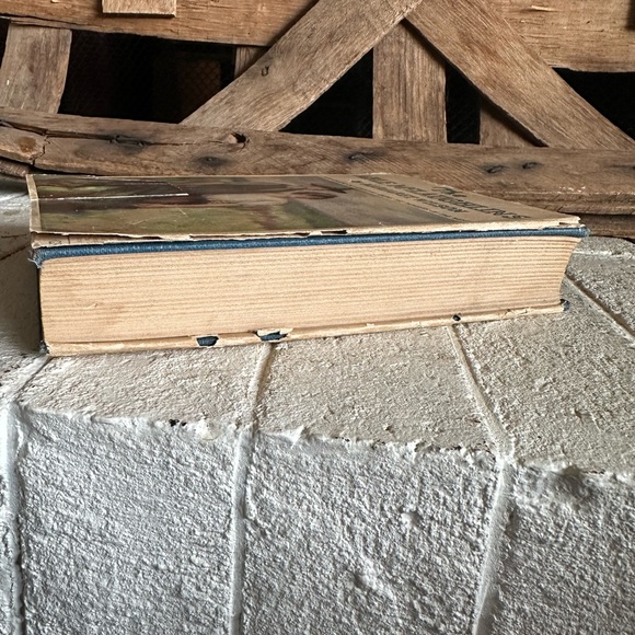 Margaret Wilson / The Able McLaughlins 1923 Early Reprint (46) - Picture 3 of 8